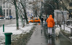 Гидрометцентр России дал прогноз на зиму